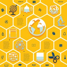 Education flat infographic N148