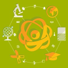 Education flat infographic N152