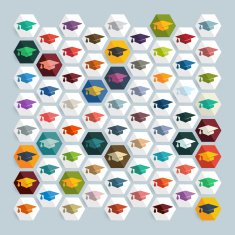 Flat design cap N20