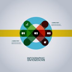infographics template N13