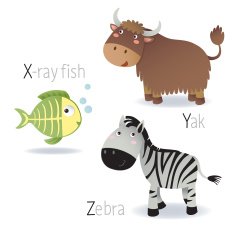 Alphabet with animals from X to Z N2