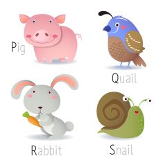 Alphabet with animals from P to S N2