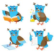 Cute Owl N12