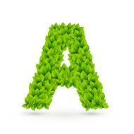 3d green leaves alphabet A