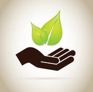 eco design N4