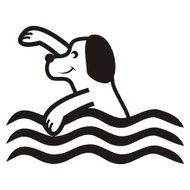 Dog and water N2