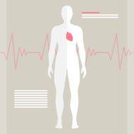 Vector human heart N2