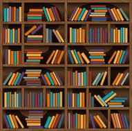 Bookshelf N23