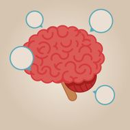 brain infographic illustration N3
