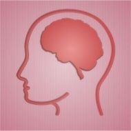 human brain in head