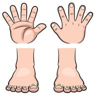Hands and feet