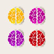 realistic design element brain N22