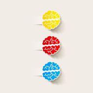 realistic design element brain N26