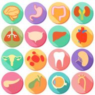 Internal organ and Body Parts