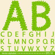 vector Concept alphabet with green leaves