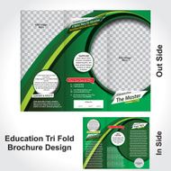 Vector Education Brochure Design