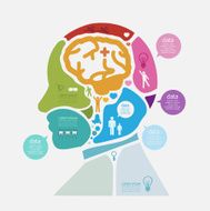 Modern Design human Brain template