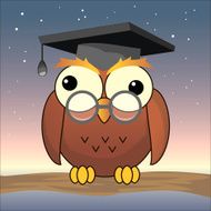 Funny Owl N5
