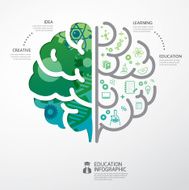 infographic brain education and science concept vector N2