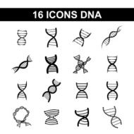 Icon DNA N4