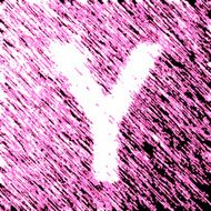 Letter N25