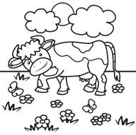 cow coloring book N4