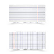 Sheets of school notebooks