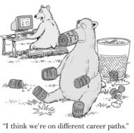 Career Paths