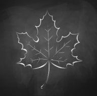 Autumn leaf Chalkboard drawing