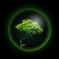 Tree in glass ball retort Vector N2