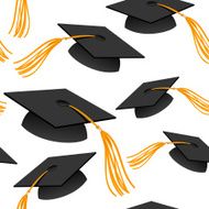 Graduation Caps N3