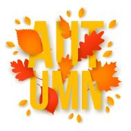 Autumn text with leaves Back to school N2