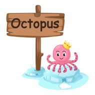 animal alphabet letter O for octopus N2