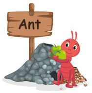 animal alphabet letter A for ant N2