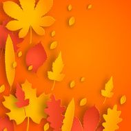 Autumn background with leaves N10