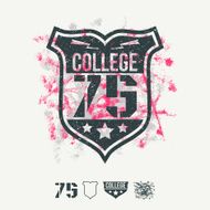 College sport emblem and design elements N2