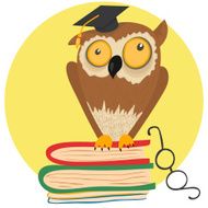 Crazy owl sitting on books