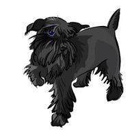 vector black dog Miniature Schnauzer breed