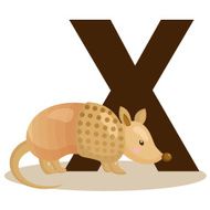 Alphabet X for Xenurine N2