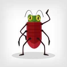 Vector beetle flat illustration N4