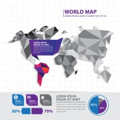 World map infographic N7