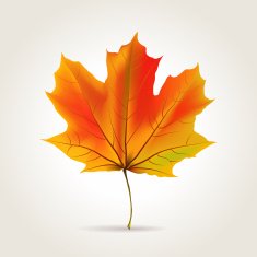 leaf N3
