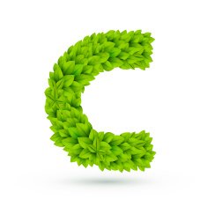3d green leaves alphabet C
