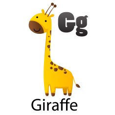 Alphabet G with Giraffe