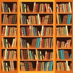 Large bookcase with different books
