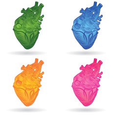 Vector button or icon of a human heart