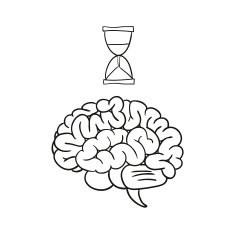 hourglass brain vector