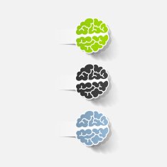 realistic design element brain N24