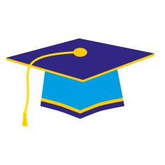 graduation cap N51