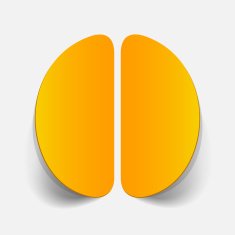 realistic design element brain N35